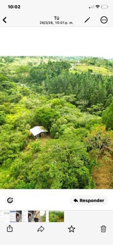 Cabañas el bosque verde (Cabanas el bosque verde) in Italcancori