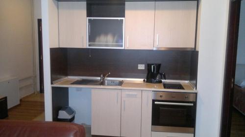 One-Bedroom Apartment with Balcony image 5