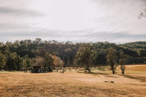 The Wollombi Wanderer by Tiny Away