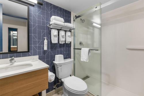 Quality Inn Buffalo/Hamburg NY - image 38