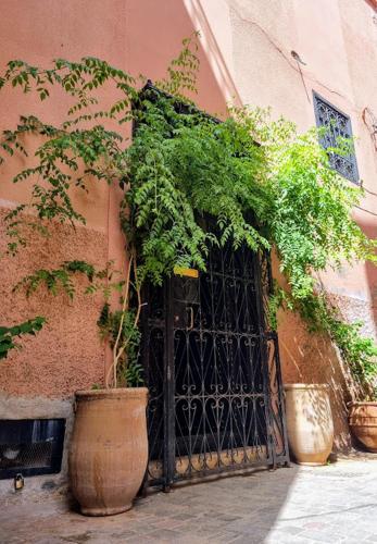 Riad dar serenity Room Type - Double or Twin Room