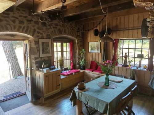 Le Moulin de Basile in Chambon-sur-Dolore
