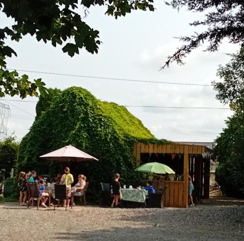 The Wandering Donkey Guest House in Carlow