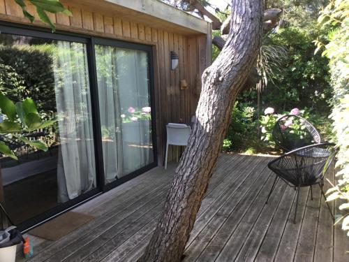 Cabane dans la verdure