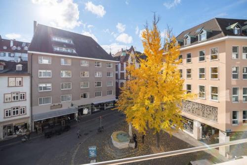 Apartmenthaus zum Trillen Basel City Center 2