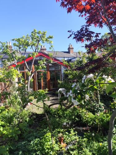 Red brick Victorian house next to Croke Park Stadium 3