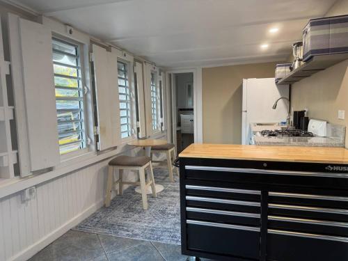 NewReno, AC, 2 blocks to Beach, Dive, Eat, Drink – khách sạn tại Frederiksted