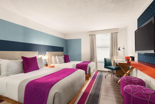 TRYP by Wyndham Isla Verde - image 8