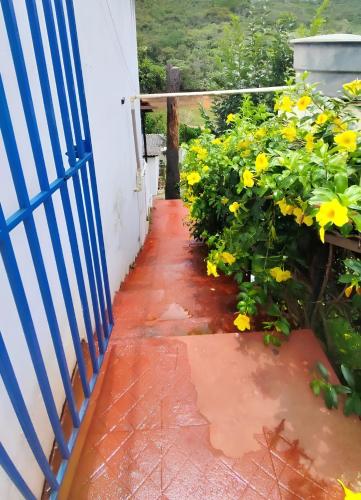 Dārzs, Casa da Lagoa in Santa Barbara (Minas Gerais)