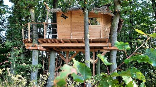 Treehouses Karlov pod Pradědem – khách sạn tại Dolní Moravice