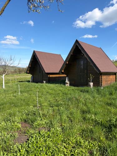 Pensiune Rozalia - Camping in Criț