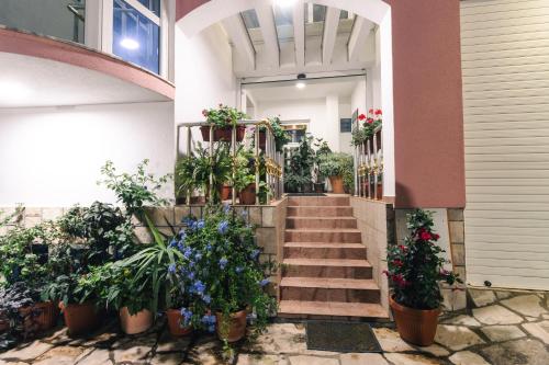Wiena Apartments in Ulcinj