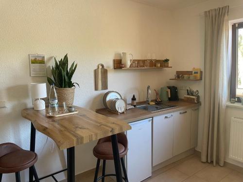 köök, SaaleRast - Ferienwohnung in Camburg an der Saale - ruhig & naturnah, 200 m zum Saaleradweg in Großheringen