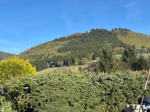 Ferienwohnung Waldblick in Elkeringhausen