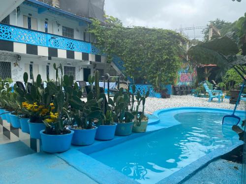 BTC - Hotel Minca Express Relax - Base Camp - Minca BTC - Hotel Minca Express Relax - Base Camp - Minca