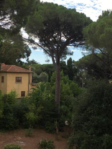 Studio dans un parc privé à Cavalaire