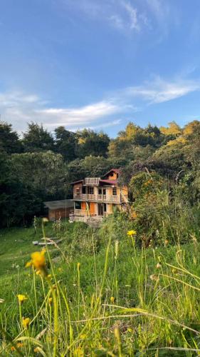 Casa Mandala Ecovegan, Habitación en Santa Elena Medellín