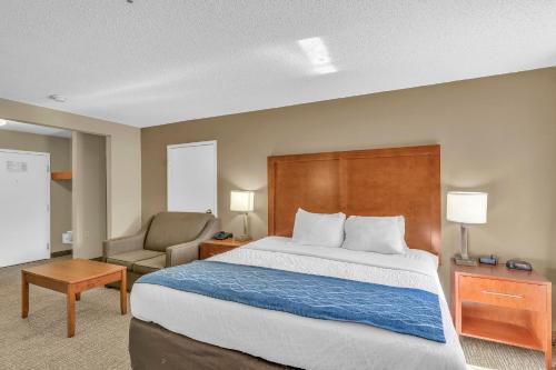 1 king bed, 2 sofa beds