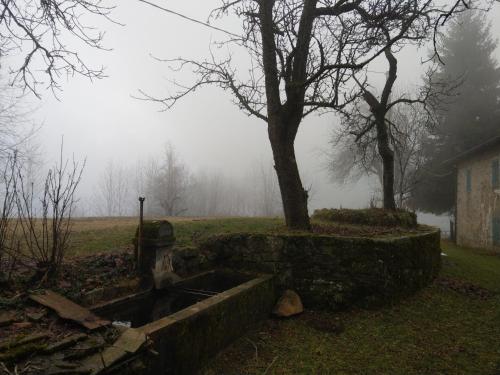 Alpine Refuge Le Vaglie in Riolunato