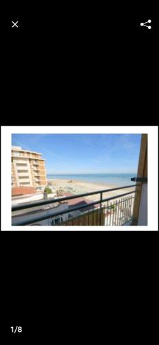 Mare