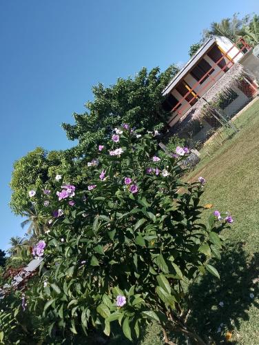 Kathy B Guesthouse in Luganville