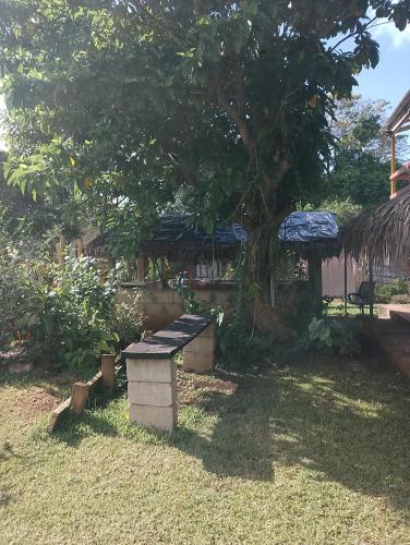 Kathy B Guesthouse in Luganville