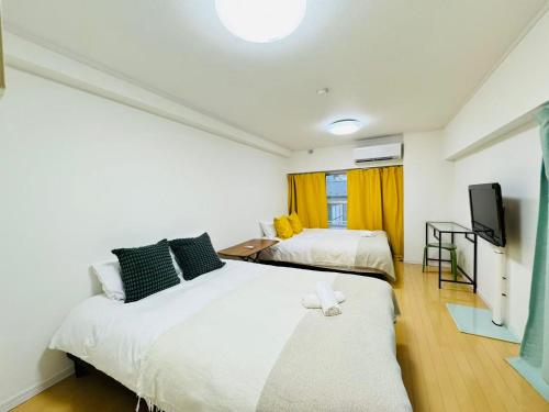 Ao Sumi House