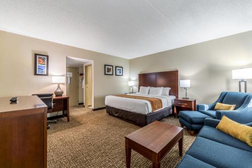 Comfort Inn Festus-St Louis South - image 26