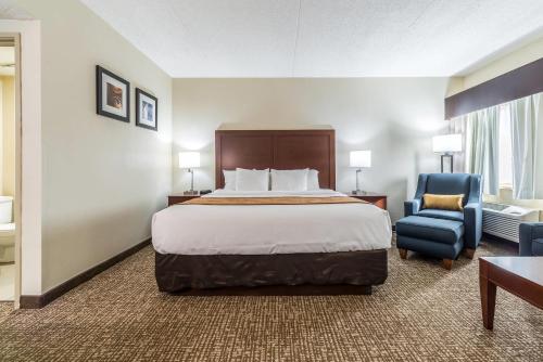 Comfort Inn Festus-St Louis South - image 33