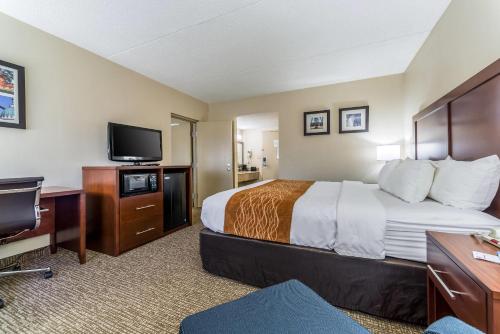 Comfort Inn Festus-St Louis South - image 30