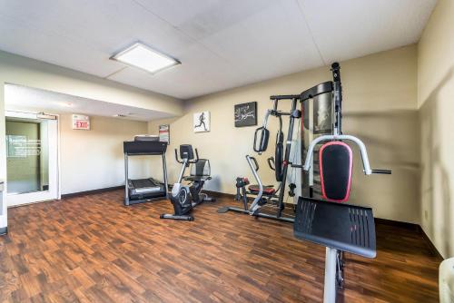Comfort Inn Festus-St Louis South - image 37