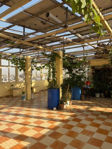BOBY HOME STAY "BOBY MANSION" Jaipur photo 3