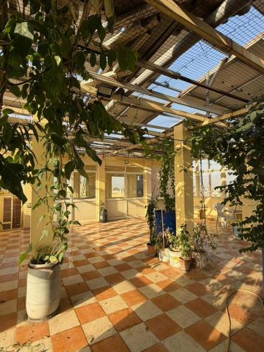 BOBY HOME STAY "BOBY MANSION" Jaipur photo 4