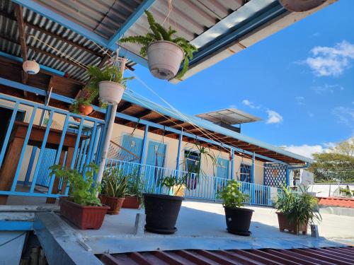 Hostel Samara in Samara