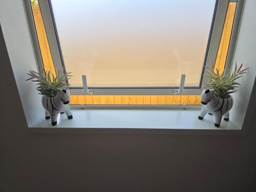 Great Price for Master Ensuite with Garden View in Rolleston