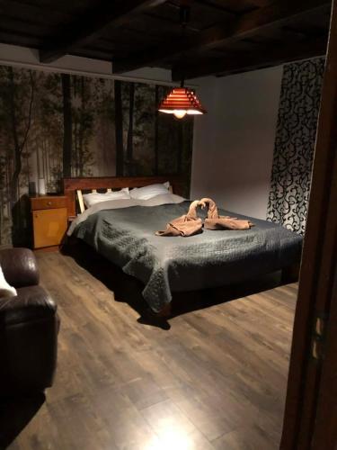 Cabana Drumetului Borzesti in Buru