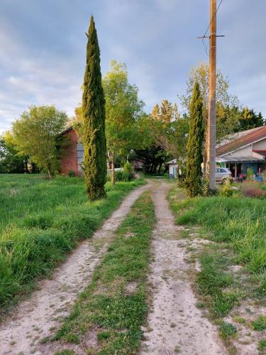 Tournesol in Estaforta