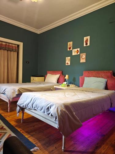Modern room in Elite Home