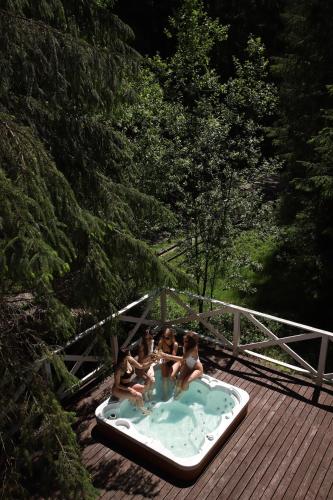 Маєток Ліс і Гори, Bukovel (photo 6)