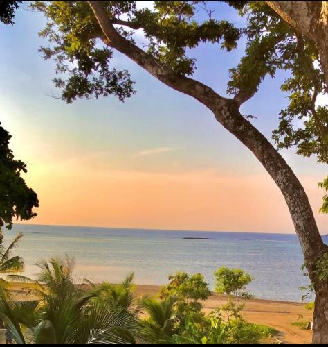 Carlitos Wave – khách sạn tại Parrot Tree