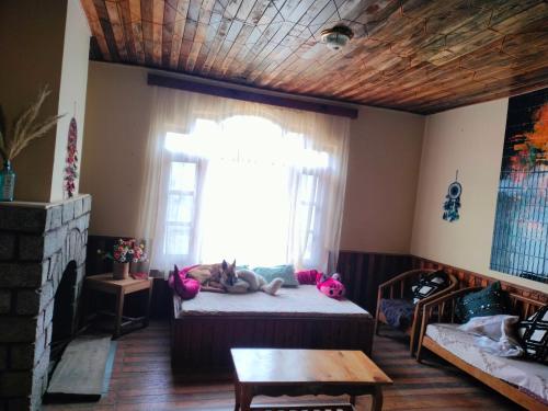 Abode of Four bellas photo 2