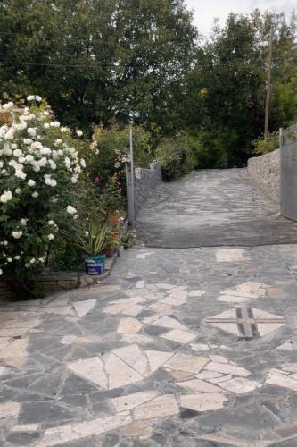 Manes in Yeghegnadzor