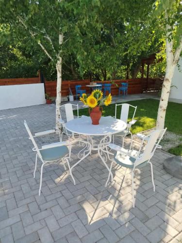 Villa Tegovi in Demir Kapija