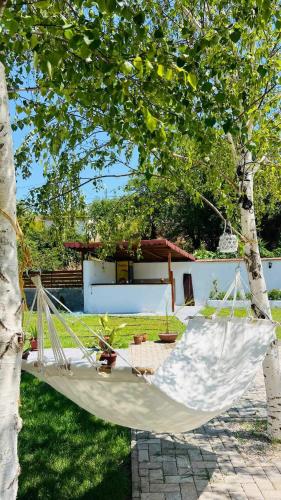 Villa Tegovi in Demir Kapija