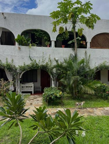Studio Leliya in Malindi