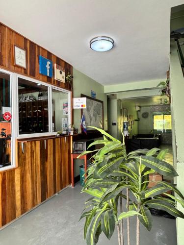 Зовнішній вигляд готелю, Caye Caulker Plaza Hotel in Кей Колкер