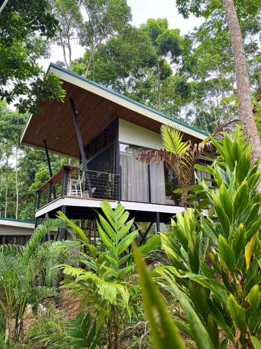 Viesnīcas āriene, Pandanus Lodge & Retreats Bungalow Orchidee in Muelle San Carlos