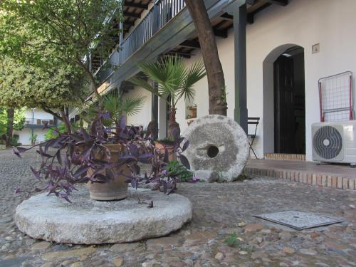 Monumento S.XVI Corralas 4