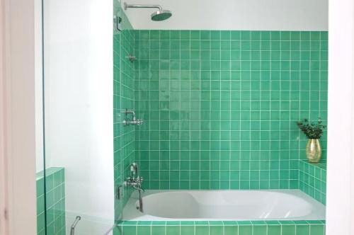 Grand appartement Fourche - image 6