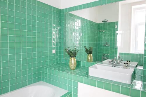 Grand appartement Fourche - image 7